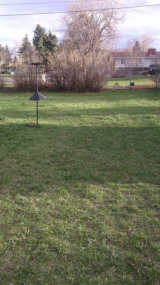 Back yard
