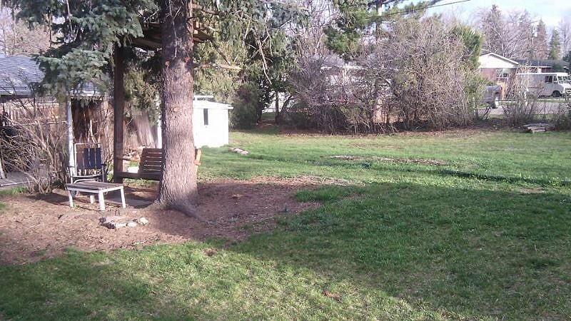 Back yard