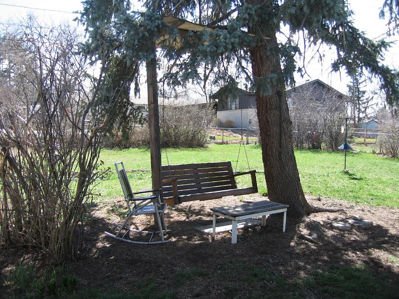 Back yard