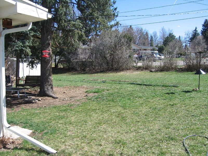 Back yard