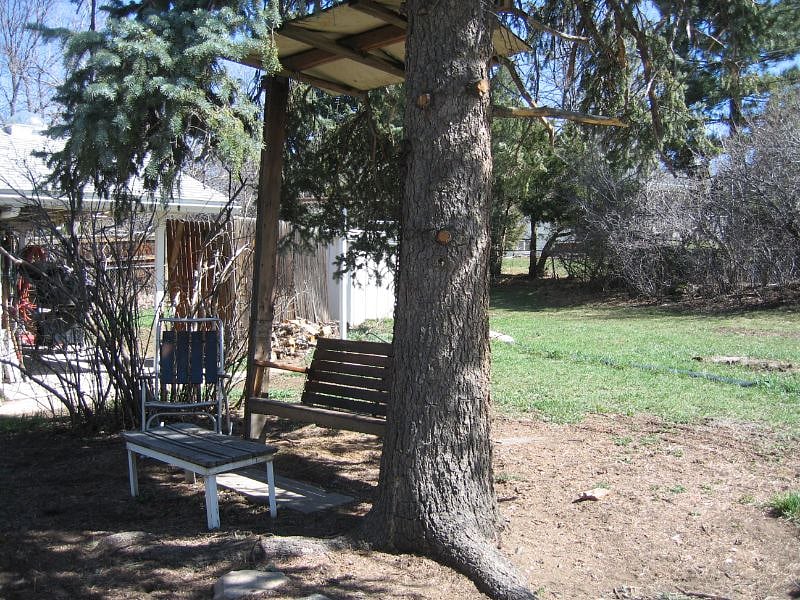 Back yard