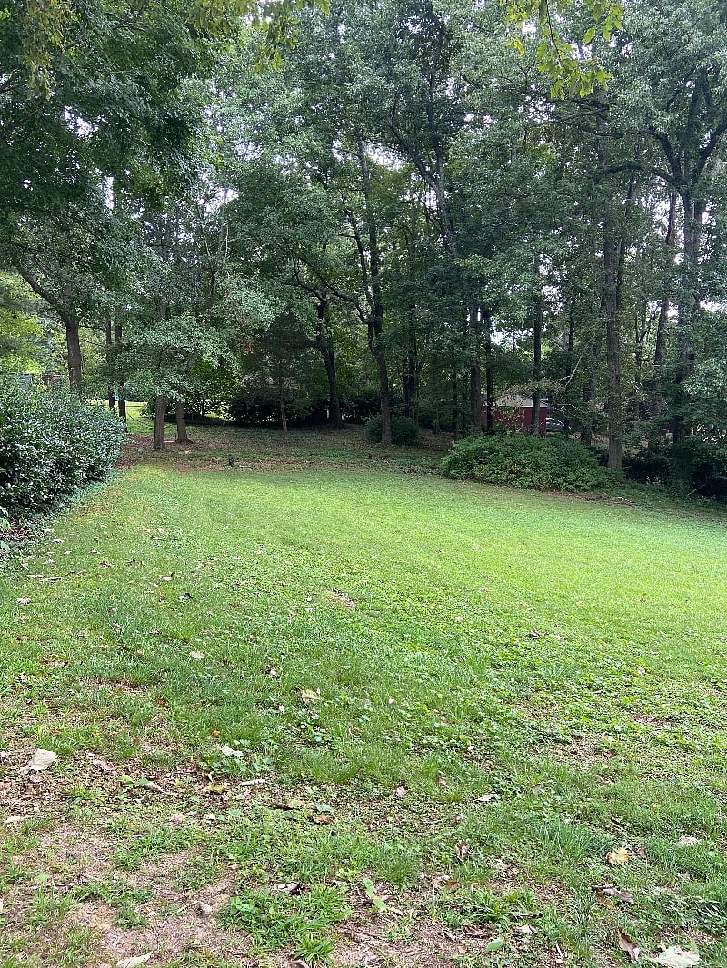 Furnished Finder property 413050_1 photo 33