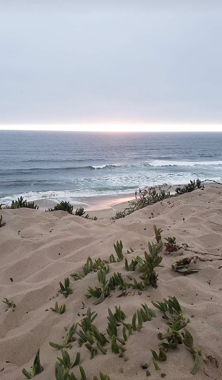 Marina State Beach - 15 minute drive