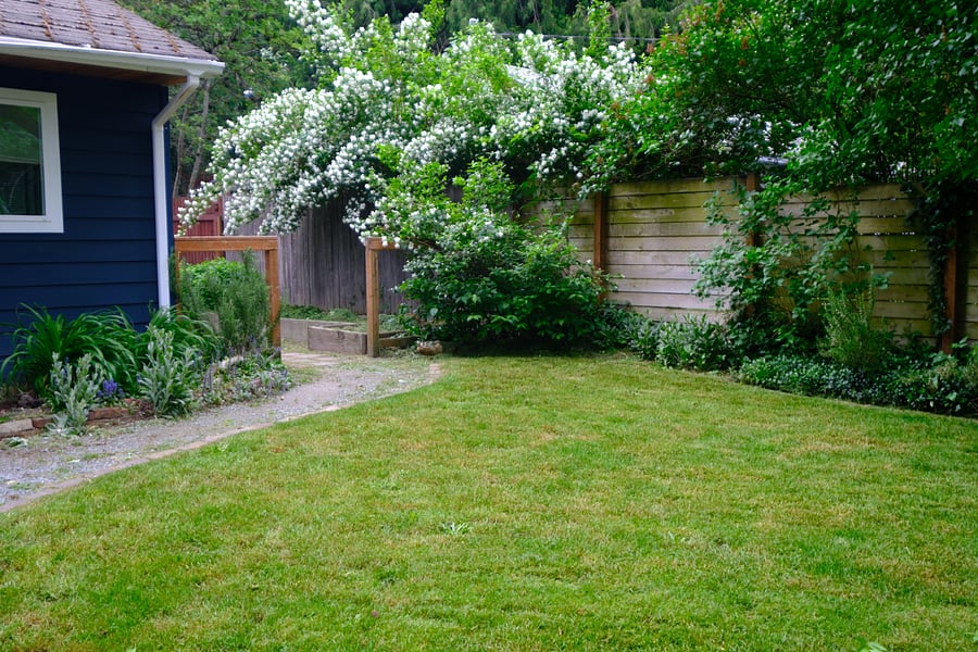 Front yard, leading to garden and backyard