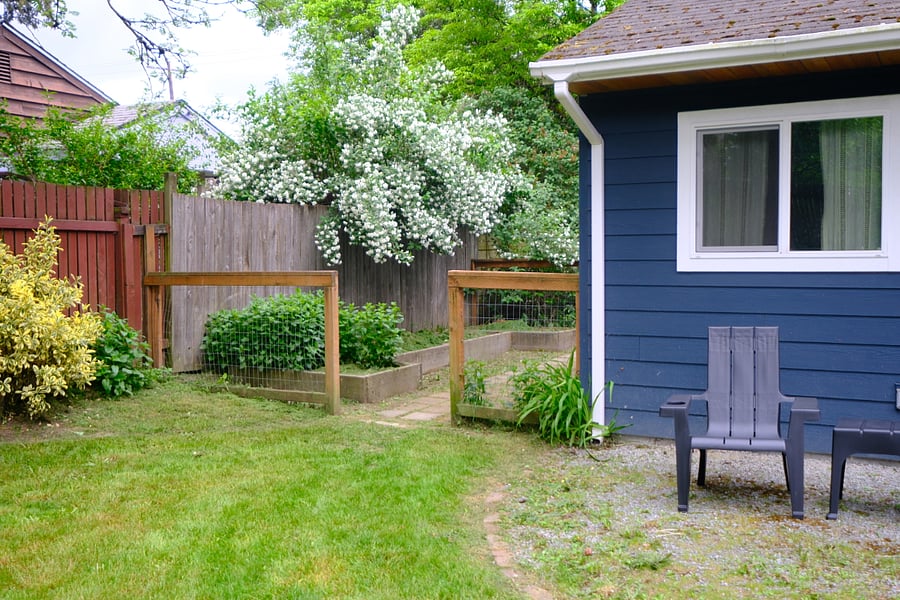 Backyard