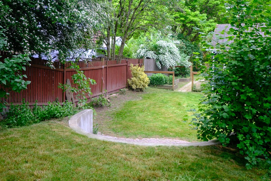 Upper backyard area