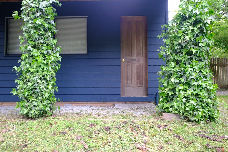 Shed, no guest access 