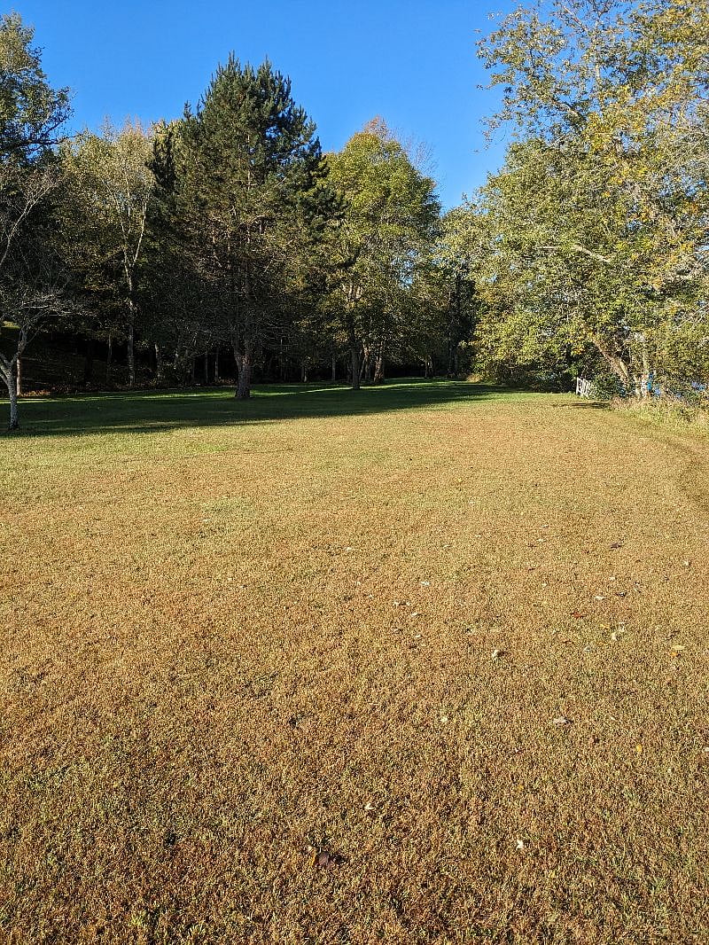 Furnished Finder property 413340_1 photo 20