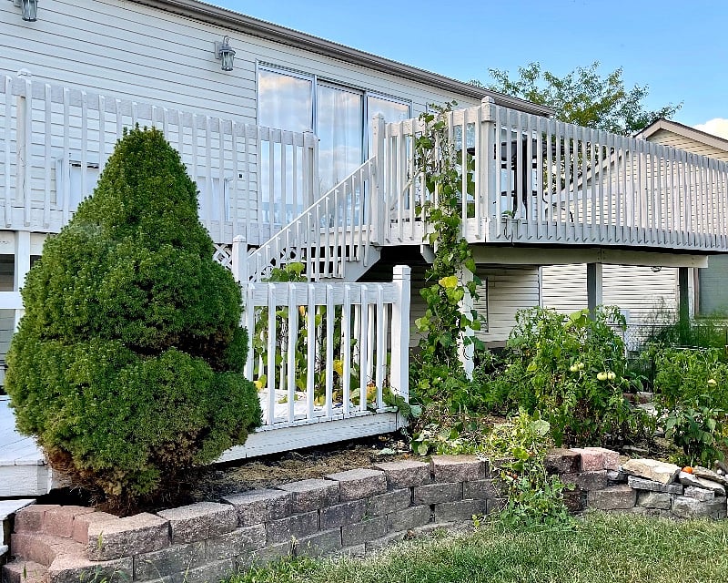 House Back View