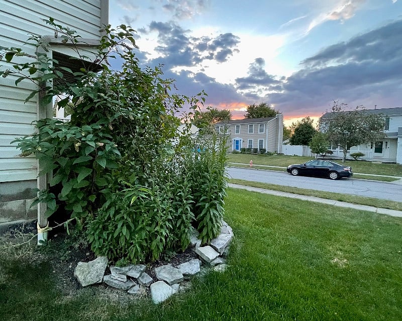 House Side Street View