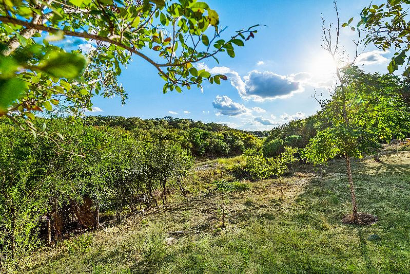 back yard view