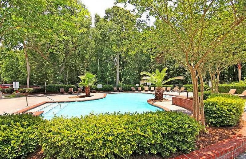 Furnished Finder property 413881_1 photo 9