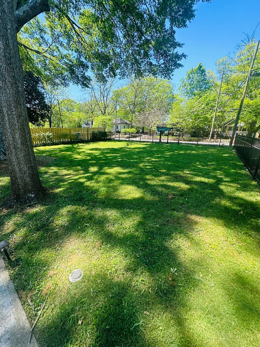 Fenced in front yard.