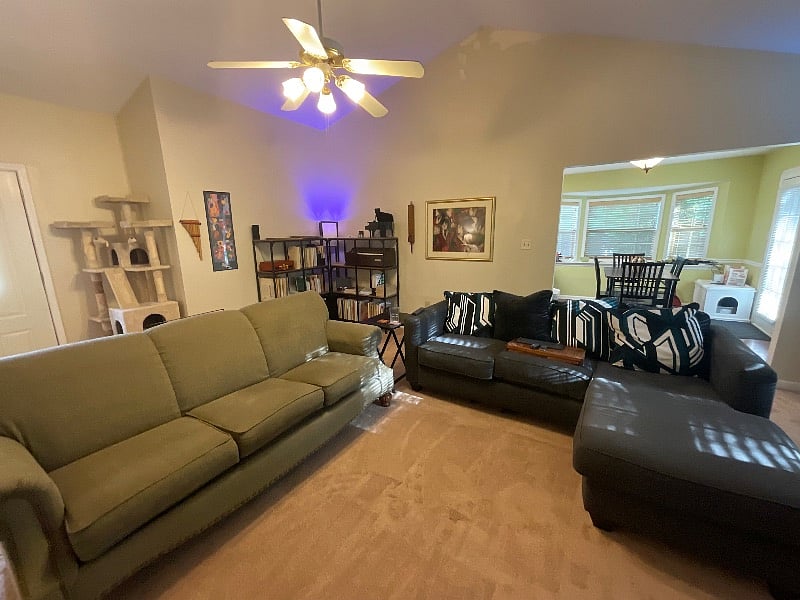 Furnished Finder property 414085_1 photo 17