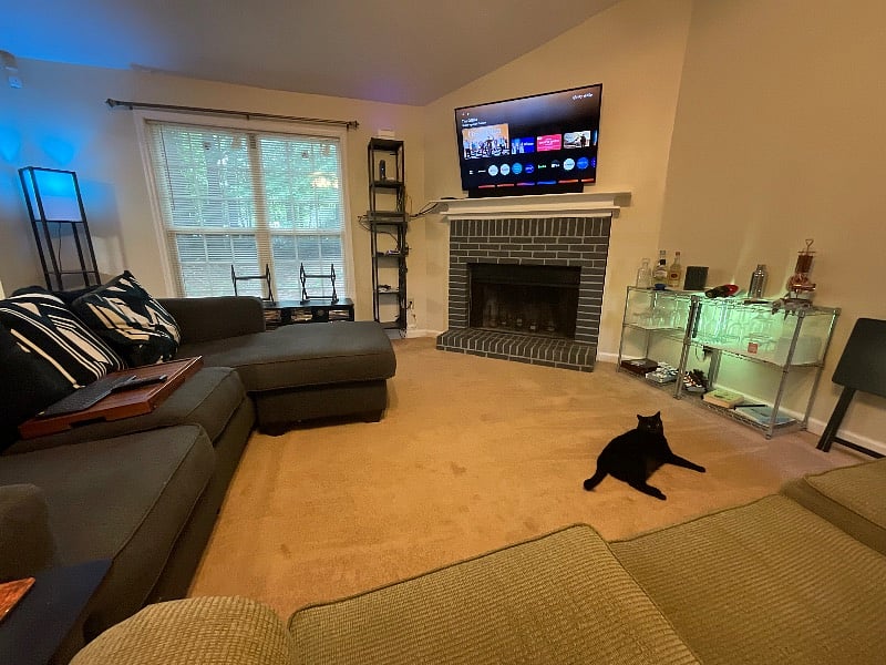 TV and fireplace view from couch plus my cat.