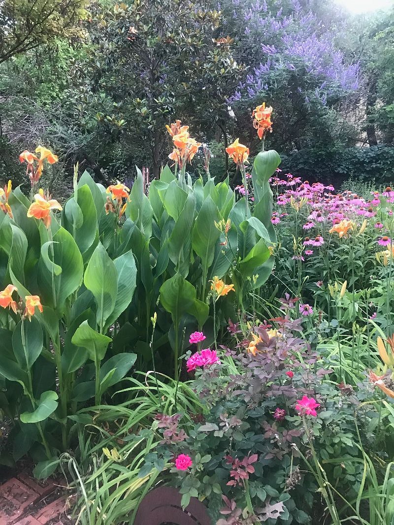 gardens next to cottage