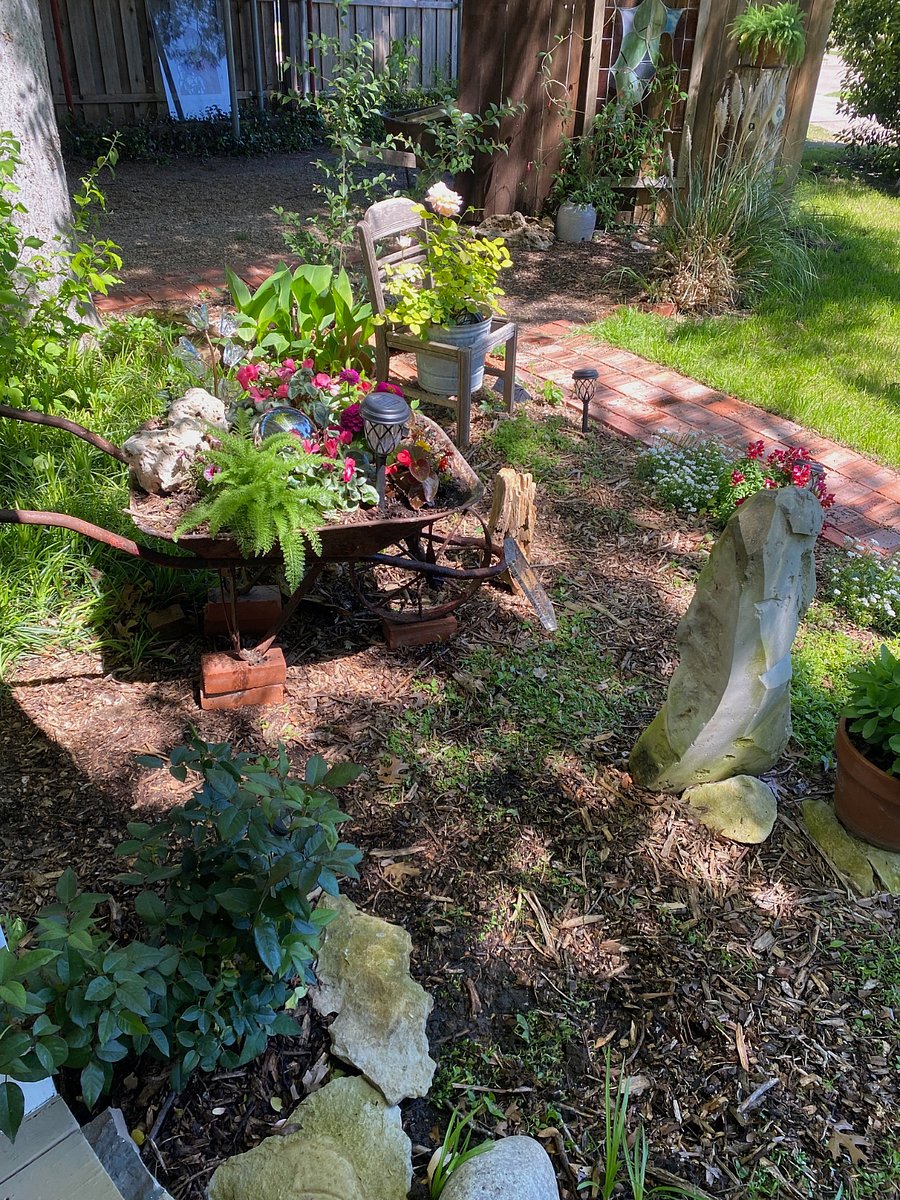 Front garden in spring