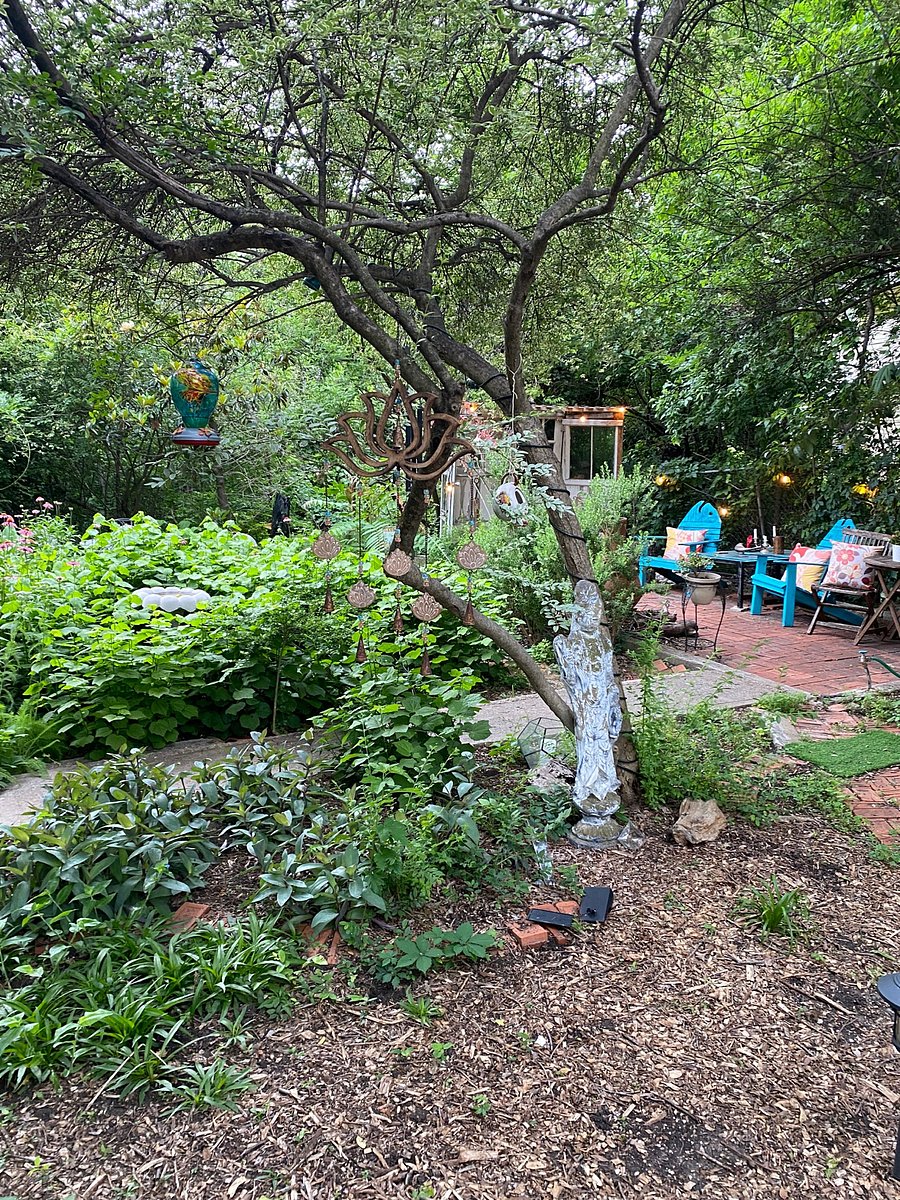 Summer garden