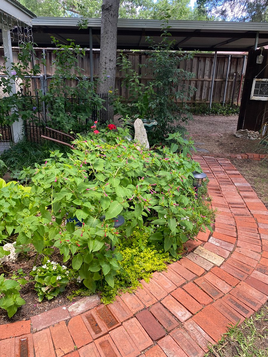 Brick path from cottage to carport