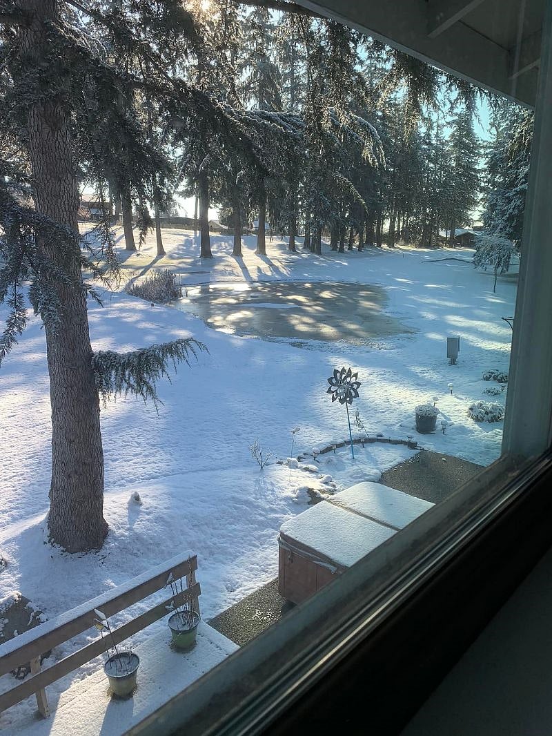 Upstairs R2 temp rental room back yard view