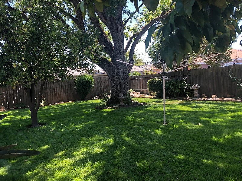 Furnished Finder property 414599_1 photo 4