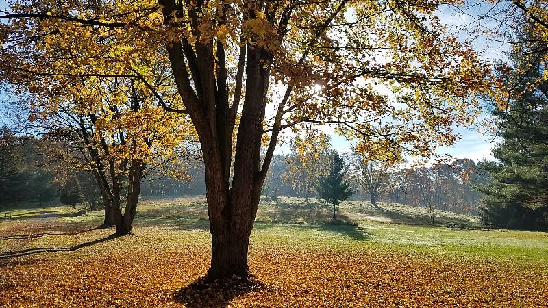 Northeast Ohio is a wonderful place to be in the fall!