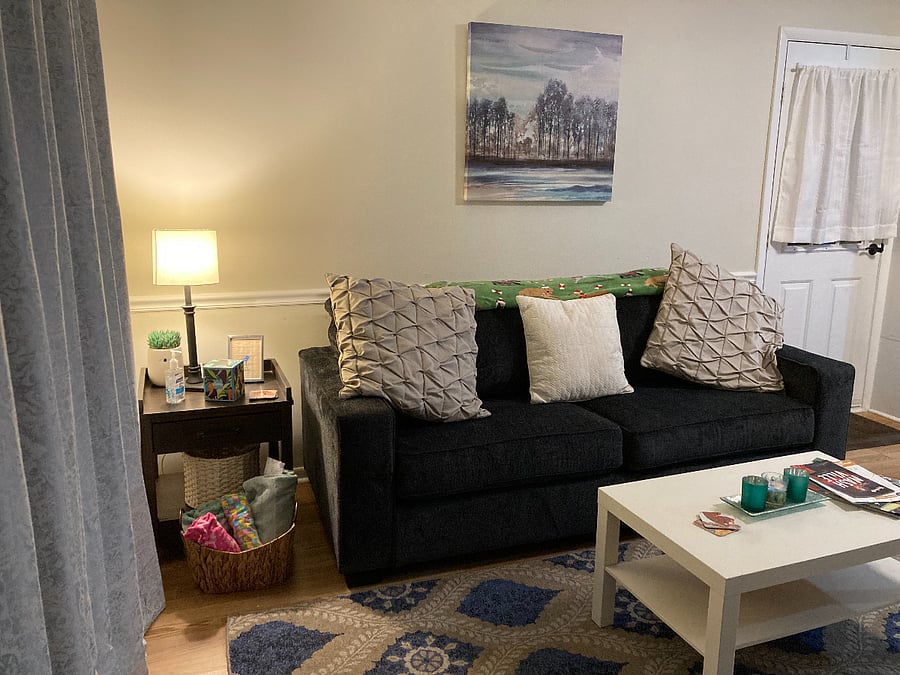 Living room with cozy sofa sleeper