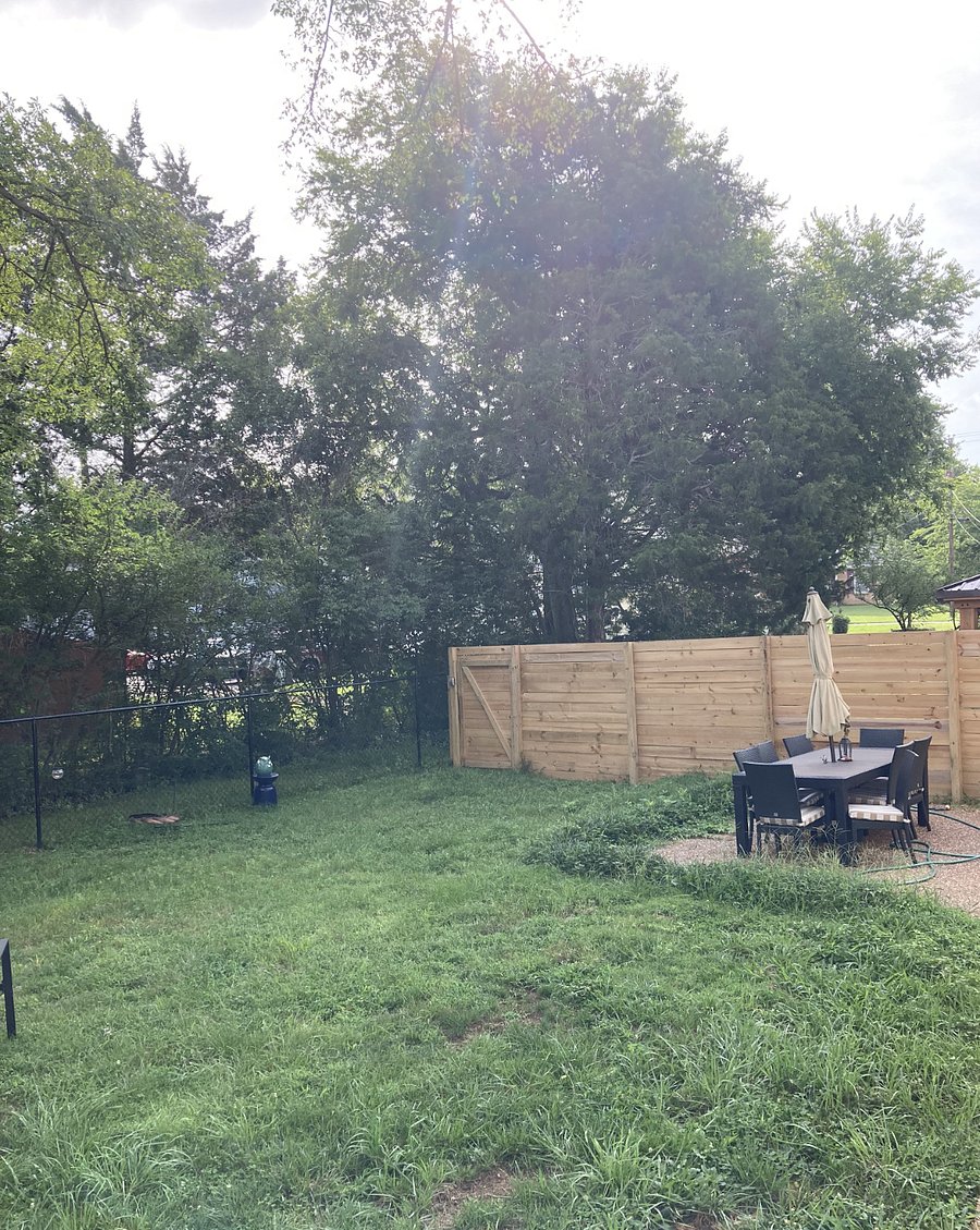 Backyard tree-lined with a privacy fence