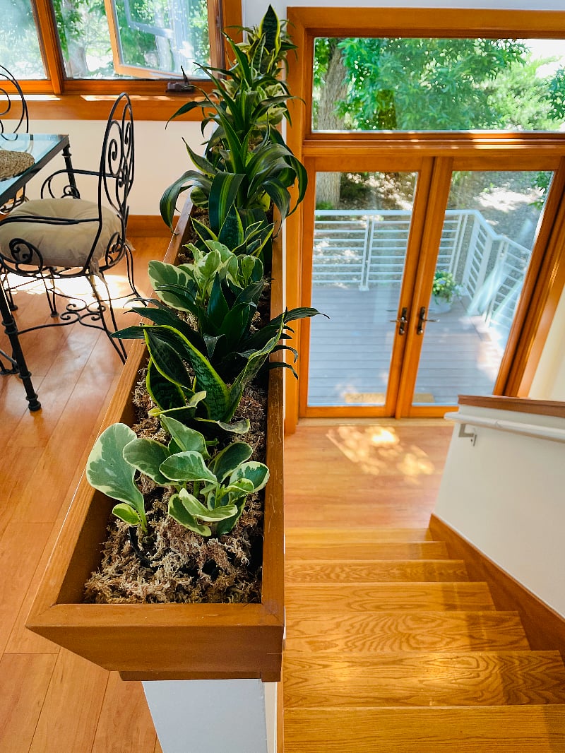 Your foyer includes stairs down to a storage closet and space for shoes. Your stairs up lead to the lofted apartment.