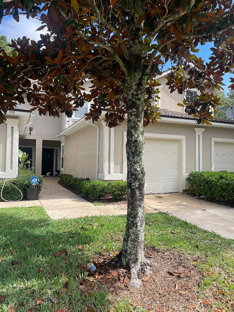 Furnished Finder property 414932_1 photo 4