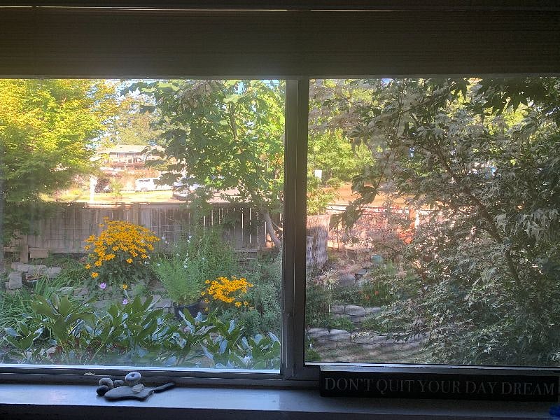 View out kitchen window