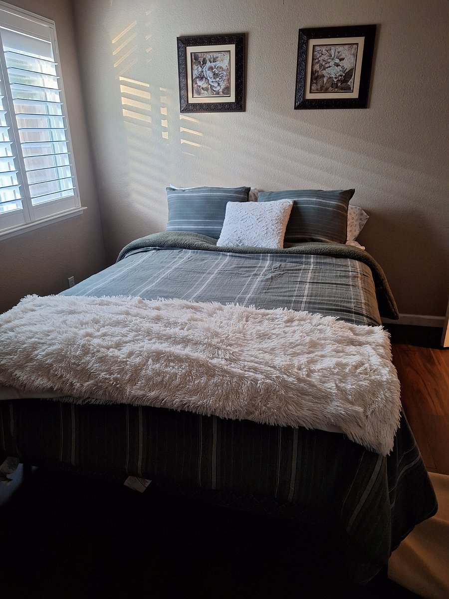 Furnished Finder property 415120_1 photo 15