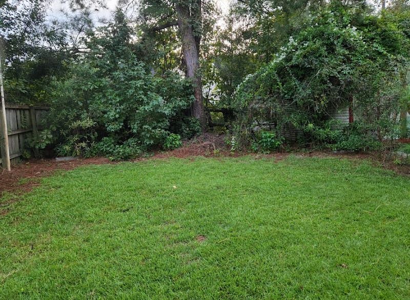 View of back yard from patio.