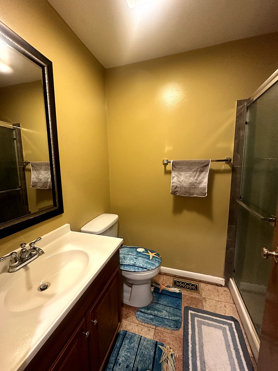 Furnished Finder property 415256_1 photo 11