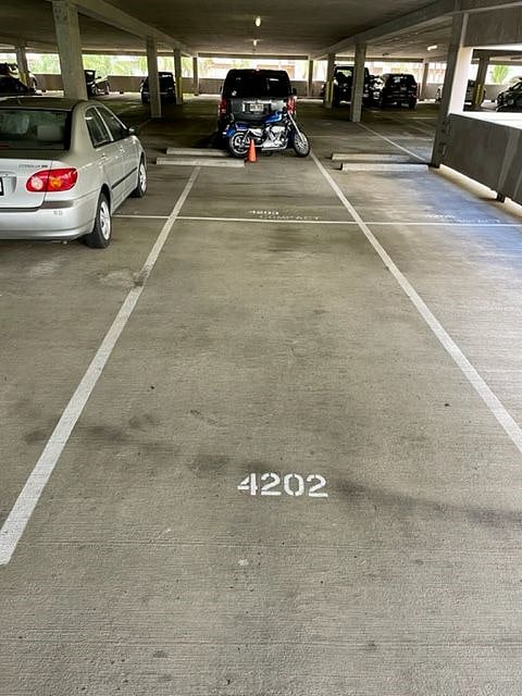 Assigned tandem parking stalls #4202 & #4203
