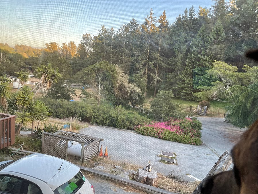 View from bedroom