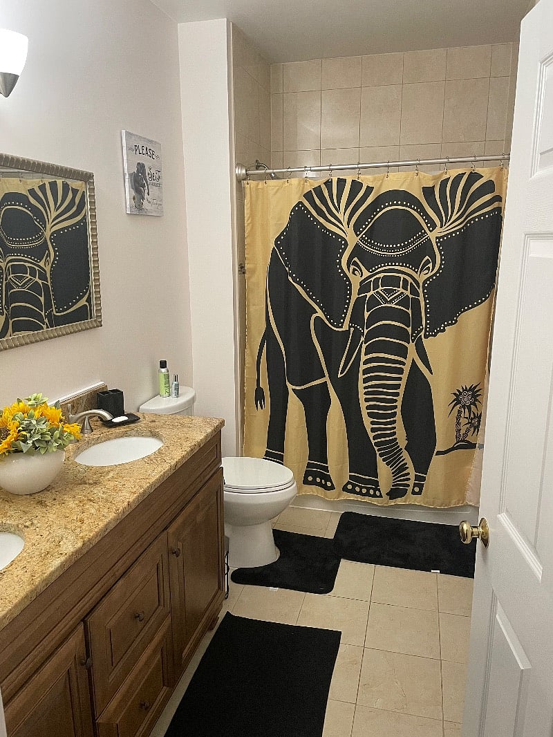 Furnished Finder property 416060_1 photo 8
