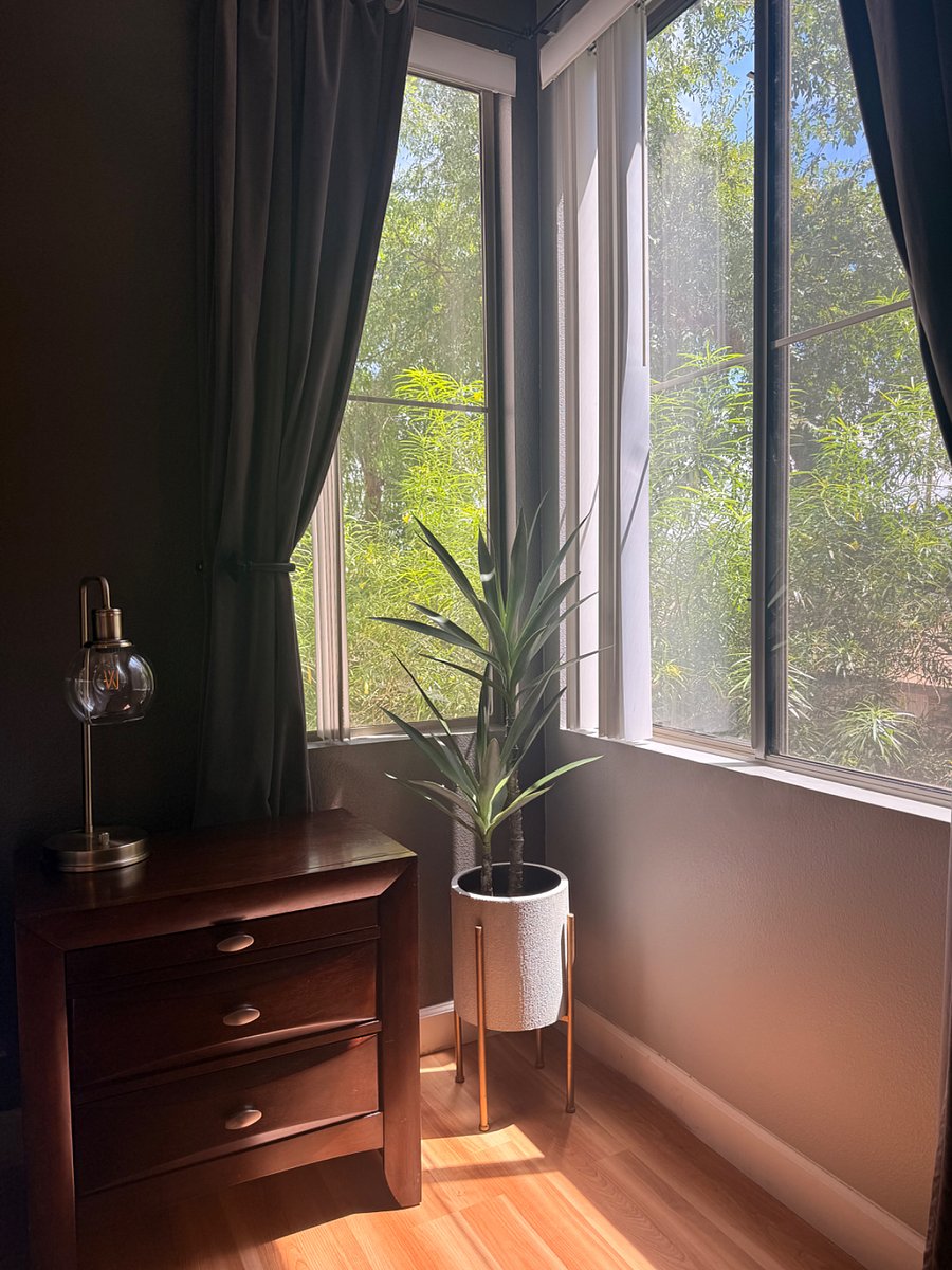 Furnished Finder property 416063_1 photo 32
