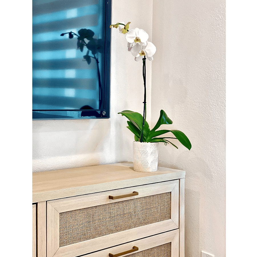 Bedroom
Unpack into six-drawer dresser