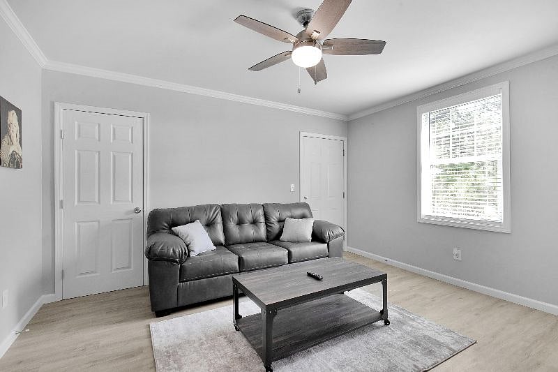 Furnished Finder property 416209_1 photo 20