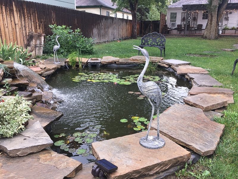 Kio Pond