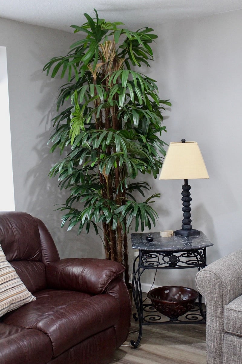 Furnished Finder property 416506_1 photo 5
