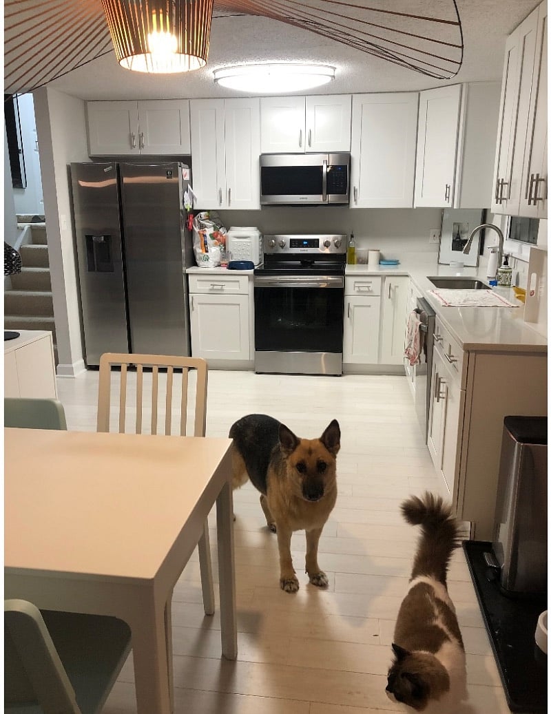 Full size kitchen on the mail floor.