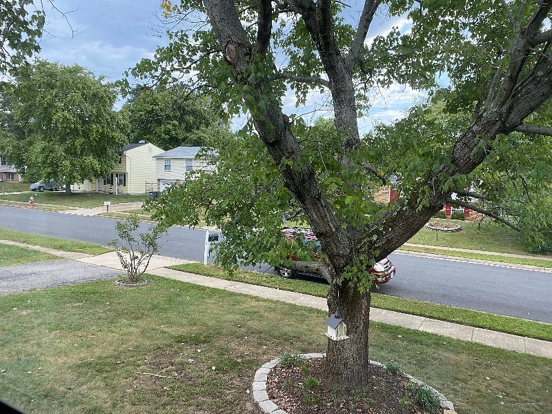 View from the bedroom window.