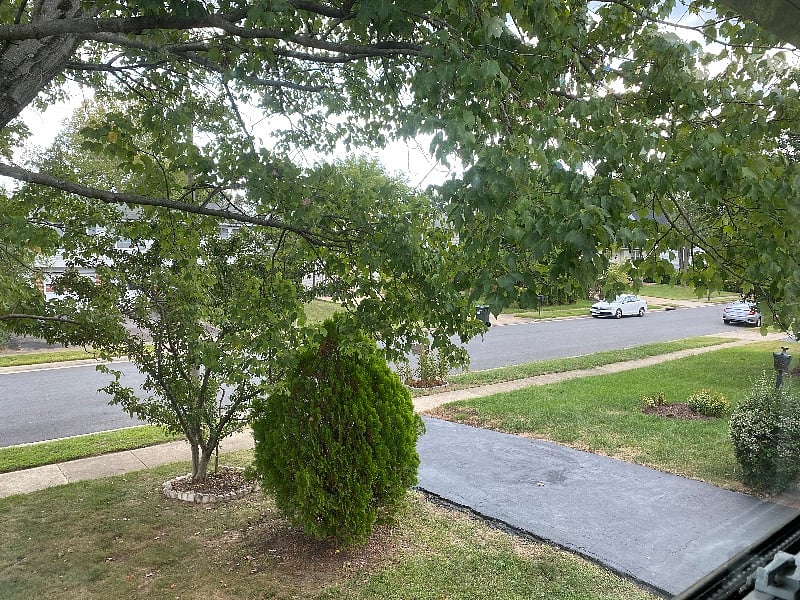 View from the bedroom window.