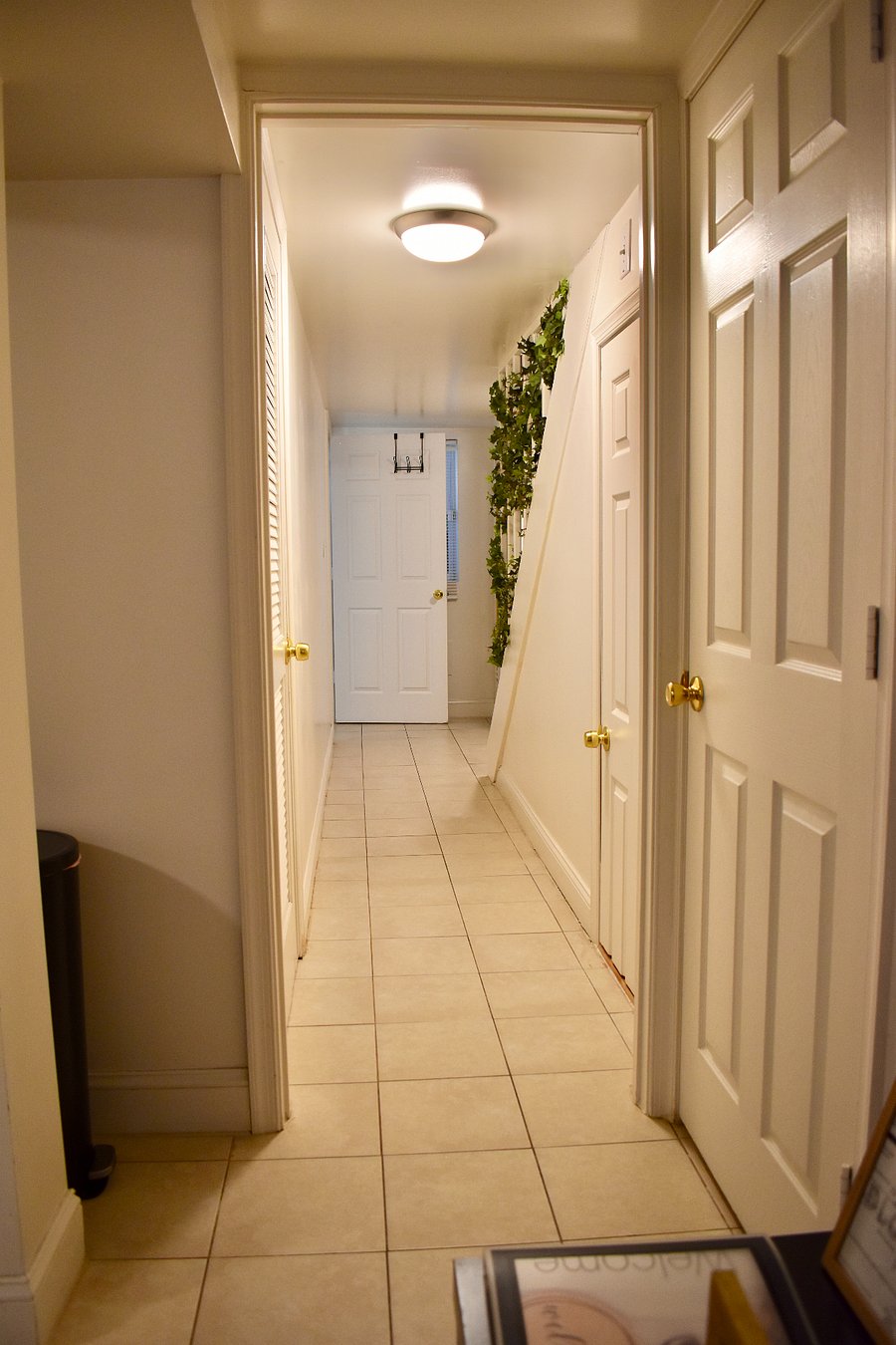 Furnished Finder property 416725_1 photo 5