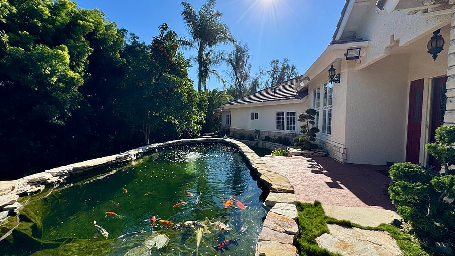 Furnished Finder property 416739_1 photo 18