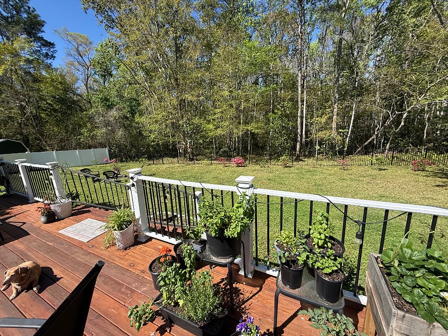 Furnished Finder property 416922_1 photo 28