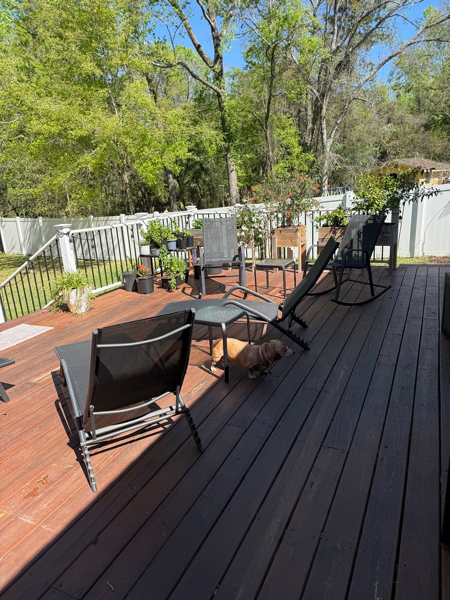 Furnished Finder property 416922_1 photo 25