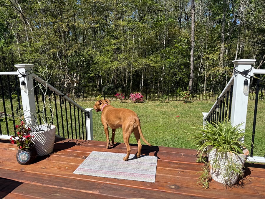 Furnished Finder property 416922_1 photo 27
